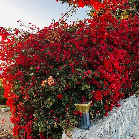 Apartman Retreat, Block A1, Unit 6 *