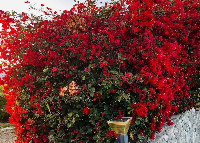 Apartmán Retreat, Block A1, Unit 6 *